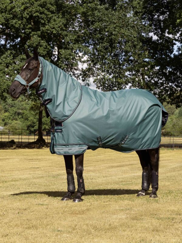 LeMieux Arika Ripstop 200g Turnout Rug in Aloe - view 1