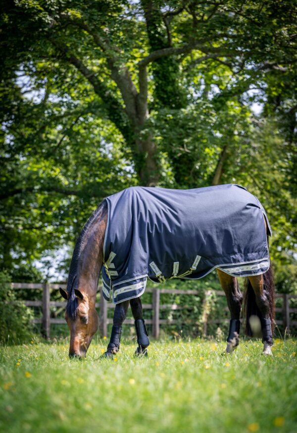 LeMieux Arika Featherweight Rug 0g in Navy – view 3