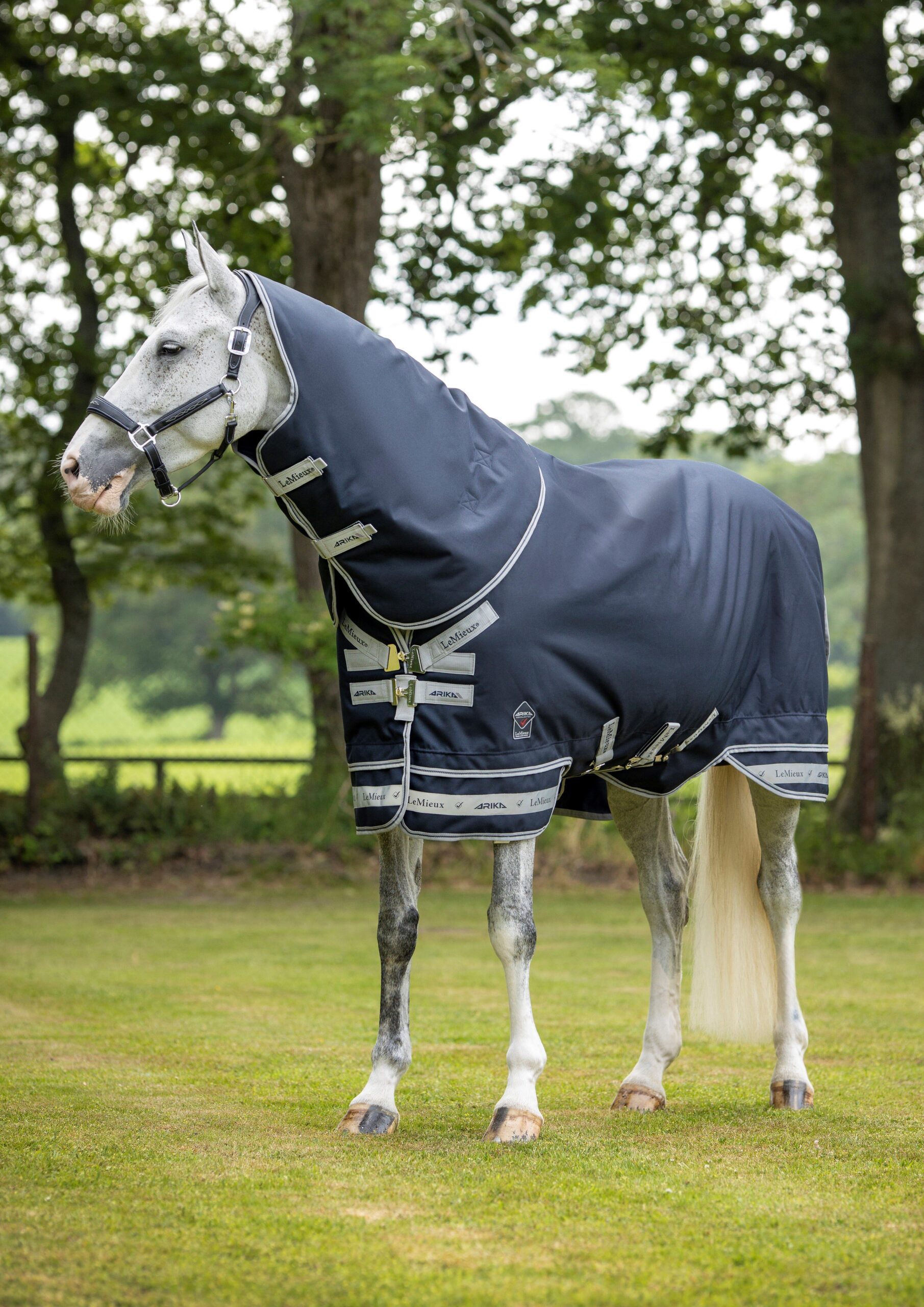 LeMieux Arika Featherweight Rug 0g in Navy – view 1