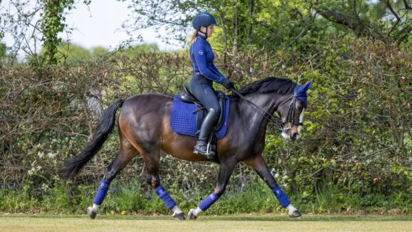 LeMieux Suede Dressage Square in Ink Blue - view 4