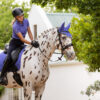 LeMieux Suede Dressage Square in Bluebell - view 4