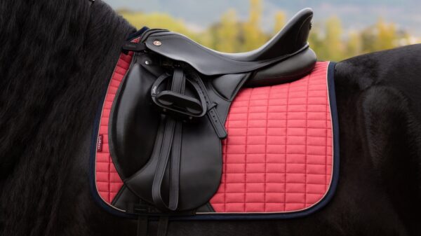 LeMieux Suede Dressage Square in Cranberry - view 4