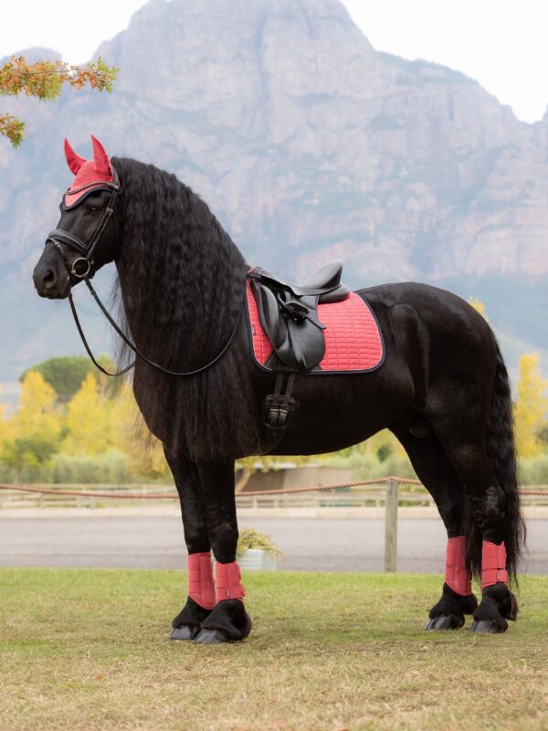 LeMieux Suede Dressage Square in Cranberry - view 3